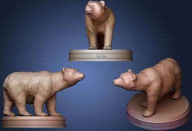 3D мадэль Реалистичный Медведь75 (STL)